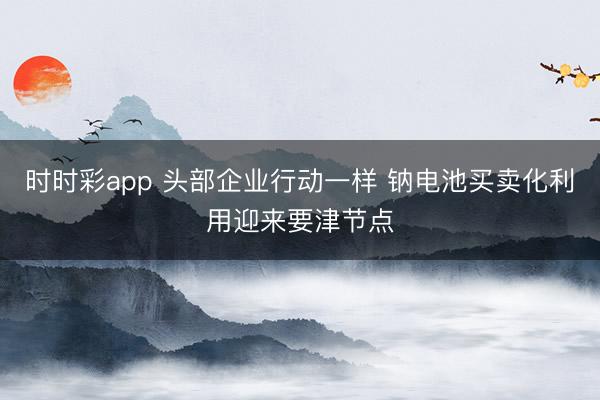 时时彩app 头部企业行动一样 钠电池买卖化利用迎来要津节点