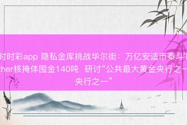 时时彩app 隐私金库挑战华尔街：万亿安适币泰斗Tether核掩体囤金140吨  研讨“公共最大黄金央行之一”