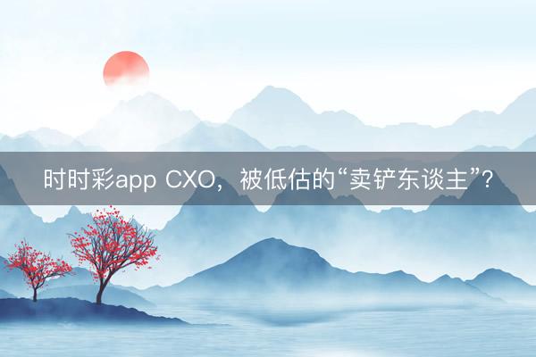 时时彩app CXO,被低估的“卖铲东谈主”?