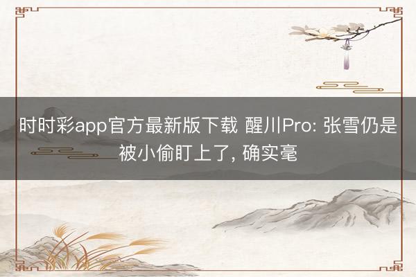 时时彩app官方最新版下载 醒川Pro: 张雪仍是被小偷盯上了, 确实毫