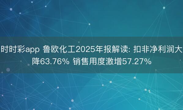时时彩app 鲁欧化工2025年报解读: 扣非净利润大降63.76% 销售用度激增57.27%