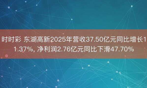 时时彩 东湖高新2025年营收37.50亿元同比增长11.37%， 净利润2.76亿元同比下滑47.70%