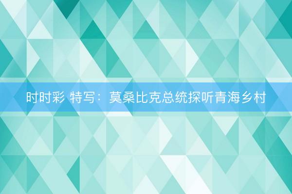 时时彩 特写：莫桑比克总统探听青海乡村