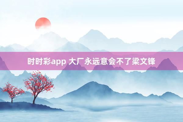 时时彩app 大厂永远意会不了梁文锋