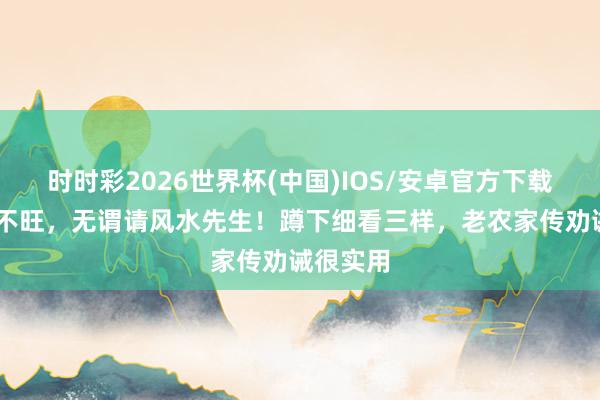 时时彩2026世界杯(中国)IOS/安卓官方下载 祖坟旺不旺，无谓请风水先生！蹲下细看三样，老农家传劝诫很实用