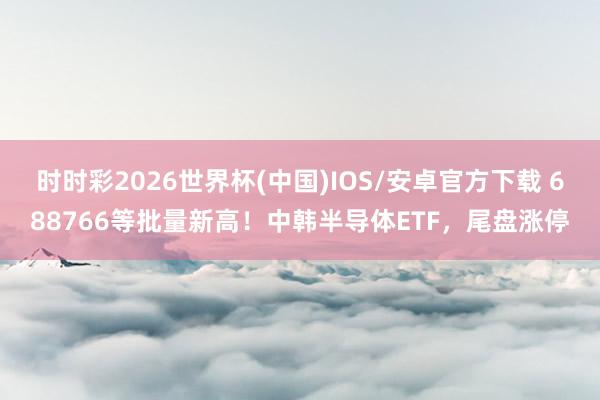 时时彩2026世界杯(中国)IOS/安卓官方下载 688766等批量新高！中韩半导体ETF，尾盘涨停