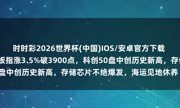 时时彩2026世界杯(中国)IOS/安卓官方下载 沪指站上4200点，创业板指涨3.5%破3900点，科创50盘中创历史新高，存储芯片不绝爆发，海运见地休养丨A股收盘
