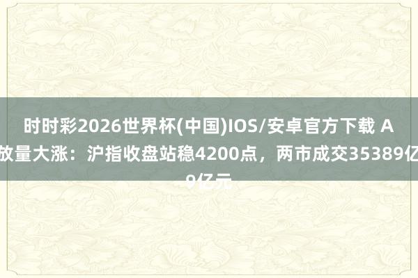 时时彩2026世界杯(中国)IOS/安卓官方下载 A股放量大涨：沪指收盘站稳4200点，两市成交35389亿元