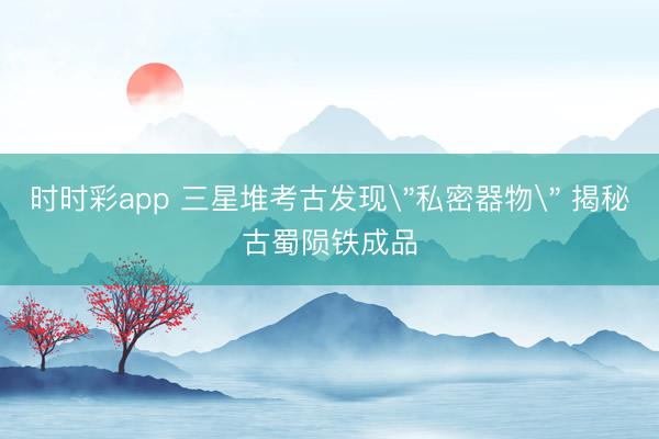时时彩app 三星堆考古发现