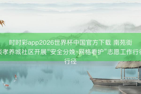 时时彩app2026世界杯中国官方下载 南苑街谈孝养城社区开展“安全分娩·网格看护”志愿工作行径