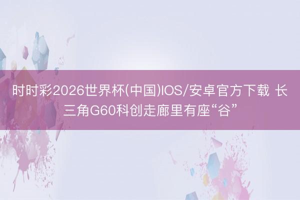 时时彩2026世界杯(中国)IOS/安卓官方下载 长三角G60科创走廊里有座“谷”