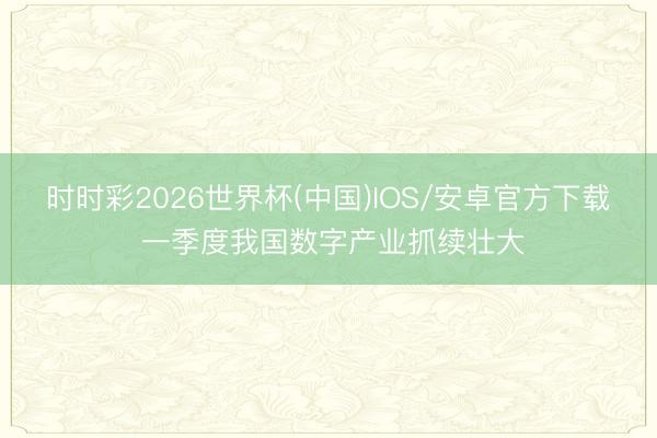 时时彩2026世界杯(中国)IOS/安卓官方下载 一季度我国数字产业抓续壮大